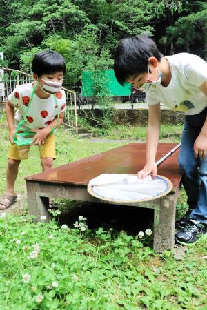 虫捕りに夢中 佐用町昆虫館が2カ月遅れでオープン おでかけトピック 兵庫おでかけプラス 神戸新聞next 虫捕りに夢中 佐用町昆虫館が2カ月遅れでオープン おでかけトピック 兵庫おでかけプラス 神戸新聞next