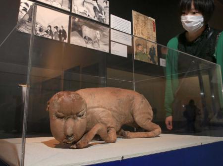疫病退散させる人面牛 件 新発見の絵図を展示中 姫路 おでかけトピック 兵庫おでかけプラス 神戸新聞next 疫病退散させる人面牛 件 新発見の絵図を展示中 姫路 おでかけトピック 兵庫おでかけプラス 神戸新聞next