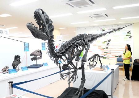 大学ミュージアムめぐり １３ 岡山理科大恐竜学博物館 岡山市 おでかけトピック 兵庫おでかけプラス 神戸新聞next