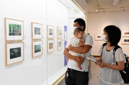 赤ちゃんと美術鑑賞 美術館で未就学児家族ツアー 山本二三展 楽しむ おでかけトピック 兵庫おでかけプラス 神戸新聞next