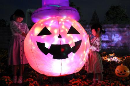 お花畑で ハロウィーン ライトアップ 加古川の化学メーカー おでかけトピック 兵庫おでかけプラス 神戸新聞next