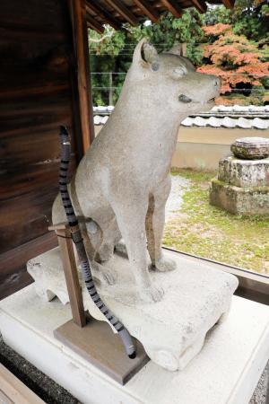 ハチ公 より1300年も昔から語り継がれる忠犬伝説 おでかけトピック 兵庫おでかけプラス 神戸新聞next ハチ公 より1300年も昔から語り継がれる忠犬伝説 おでかけトピック 兵庫おでかけプラス 神戸新聞next