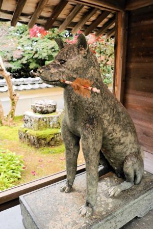ハチ公 より1300年も昔から語り継がれる忠犬伝説 おでかけトピック 兵庫おでかけプラス 神戸新聞next ハチ公 より1300年も昔から語り継がれる忠犬伝説 おでかけトピック 兵庫おでかけプラス 神戸新聞next
