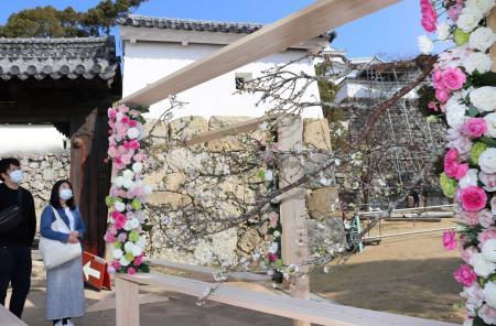 まるで絵画のように 桜のオブジェで姫路城華やぐ ２１日まで おでかけトピック 兵庫おでかけプラス 神戸新聞next