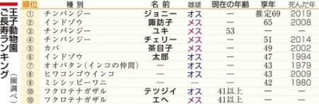 王子動物園 長寿ランキング１位は 人望 厚い６９歳リーダー おでかけトピック 兵庫おでかけプラス 神戸新聞next