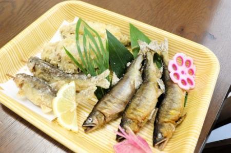 さお先に全集中 名人が 今や 新温泉 岸田川でアユの友釣りに挑戦 おでかけトピック 兵庫おでかけプラス 神戸新聞next