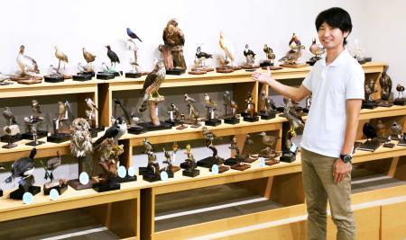 身近な鳥の特徴見比べて 標本190点展示 三田・ひとはく | おでかけ