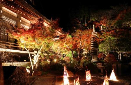 播磨地域 紅葉の名所でライトアップ 書写山円教寺など３カ所 おでかけトピック 兵庫おでかけプラス 神戸新聞next
