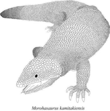 大型トカゲPalaeosaniwaの下顎　爬虫類　化石　白亜紀　アメリカ 歯の特徴から新種と判断 世界最古、ドクトカゲの化石が見つかる