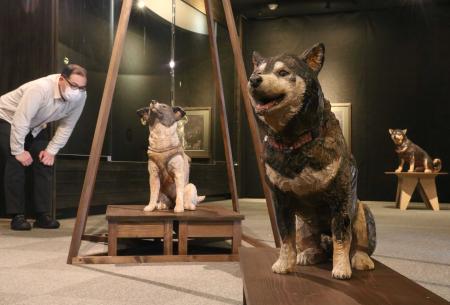 動物生き生きと１８０点 木彫作家 はしもとみおさん作品展 豊岡 おでかけトピック 兵庫おでかけプラス 神戸新聞next