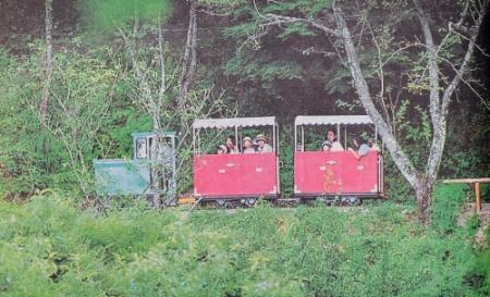 トロッコ列車 20年の歴史にひっそりと幕 トロッコ列車「シグナス森林鉄道」が営業