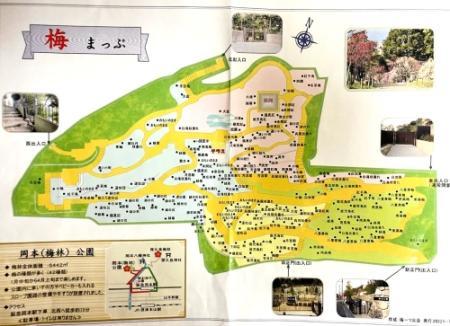名所 支える ウメ守 の愛 憩いの場に広がる早春の色香 神戸 岡本梅林公園 おでかけトピック 兵庫おでかけプラス 神戸新聞next