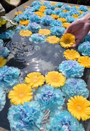 平和祈って１輪１輪水に浮かべ 加西の多聞寺 ウクライナに思い寄せた 花手水 おでかけトピック 兵庫おでかけプラス 神戸新聞next