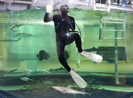 映えだけじゃない アトア の魅力とは 見る 聞く 嗅ぐまである 新感覚な水族館 神戸 おでかけトピック 兵庫おでかけプラス 神戸新聞next 映えだけじゃない アトア の魅力とは 見る 聞く 嗅ぐまである 新感覚な水族館 神戸 おでかけトピック 兵庫おでかけプラス 神戸新聞next