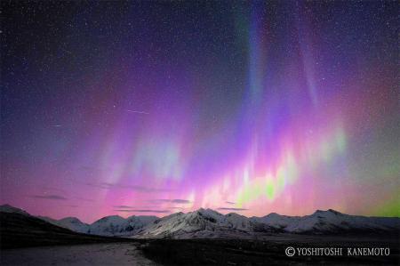 光の芸術オーロラに出合うと心が「無」になる 厳寒のアラスカへ50回