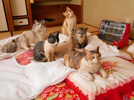 手触り、生命感…動物の「生きた証し」を木彫りで表現 彫刻家はしもと