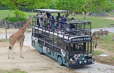 新型サファリバスで動物を間近に体験！