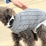 骨伝導集音器を装着した犬（ソリッドソニック提供）