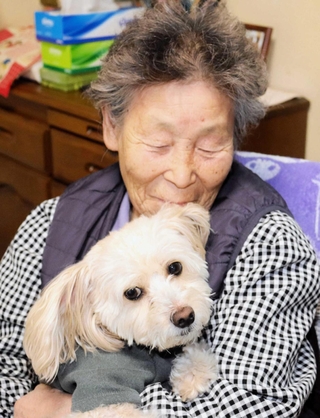 能登半島地震から１週間後に再会を果たした和田美津枝さんと愛犬ムーム＝伊丹市内