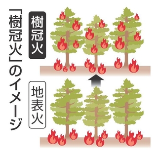 神戸新聞NEXT
