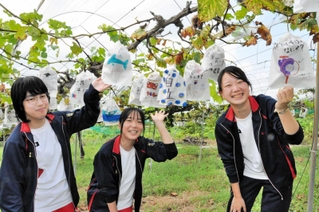 ブドウに掛ける紙袋に、絵や字を記した小野工高生＝いずれも加西市岸呂町