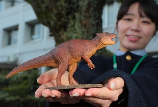 ４分の１スケールで作られた「ササヤマグノームス・サエグサイ」のフィギュアの原型＝丹波市柏原町柏原