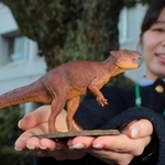 ４分の１スケールで作られた「ササヤマグノームス・サエグサイ」のフィギュアの原型＝丹波市柏原町柏原