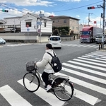 交差点を曲がる車両が横断歩道の歩行者や自転車と衝突するケースが目立つ＝尼崎市南塚口町１