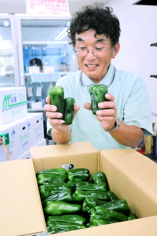 色鮮やかで肉厚な東条ピーマン＝加東市天神