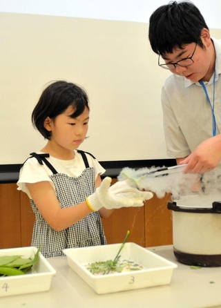 液体窒素で凍った葉に触れる体験をする児童＝いずれも三田市駅前町