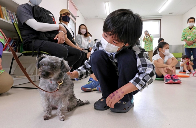 【接し方を学ぶ】慣れない手つきで、慎重に、優しく。教育プログラム「犬とともだちになろう」では、接し方を学びながら、命についても考える＝神戸市北区しあわせの村、こうべ動物共生センター