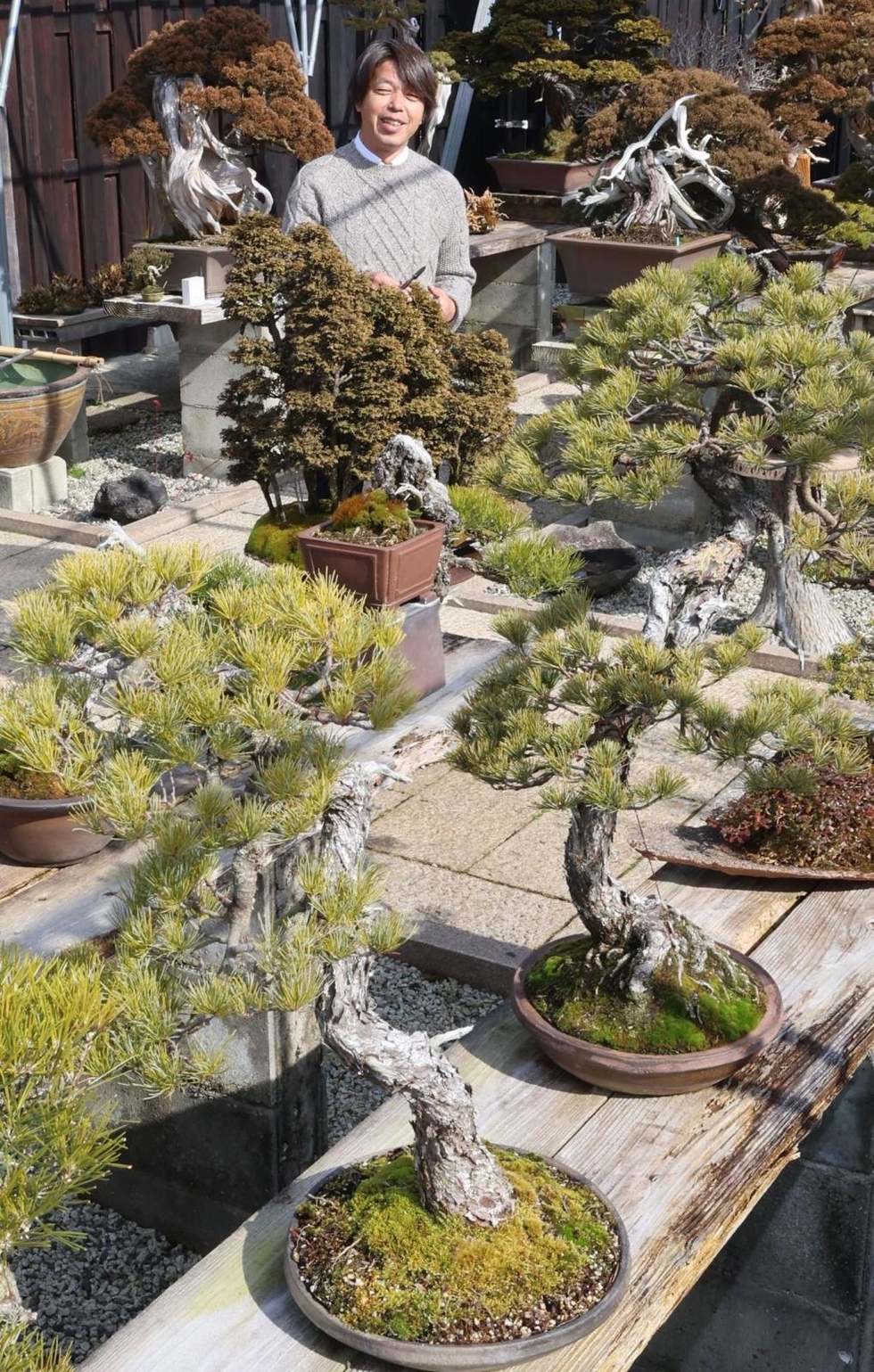 海外で大人気　米国大人気作家　王垂作　山奥　直筆　送料込み250915 81io9q-2JxL.jpg