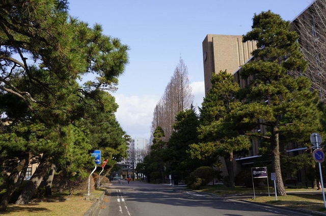 東北大学（route134／stock.adobe.com）