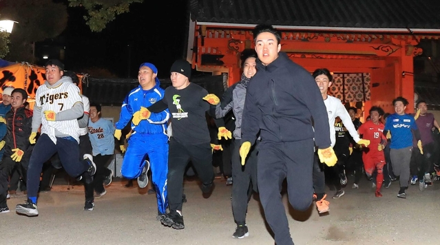 大学生協 割引 近日公開 1月のオススメ記事＞JR加古川線全通100年、「福男」は 塊根植物・コーデックス