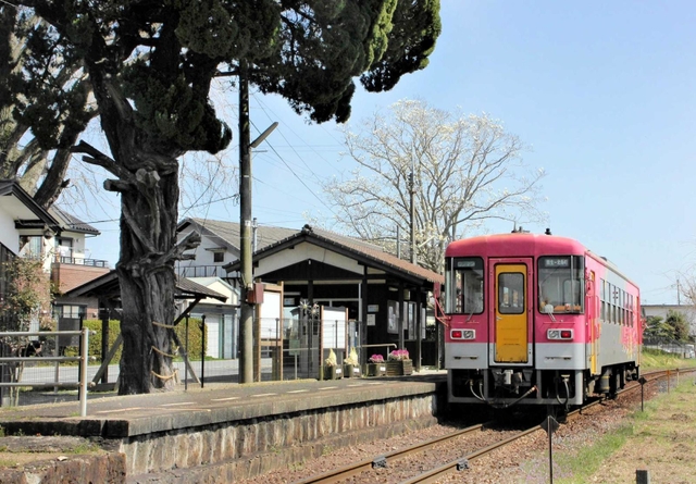 田園にたたずむ北条鉄道網引駅。2021年の１日平均乗降客数は64人で県内３５２位だった＝加西市網引町