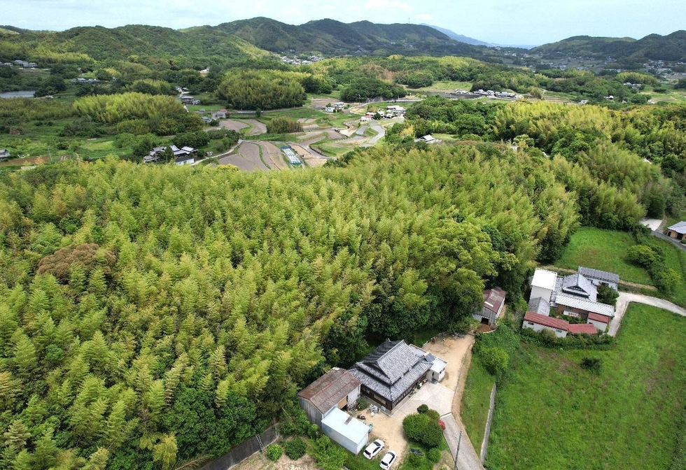 住宅背後の丘陵を埋め尽くす竹林。山あいの集落に〝島〟のように竹林の固まりが点在していた＝５月２８日、洲本市安乎町（ドローンで撮影）