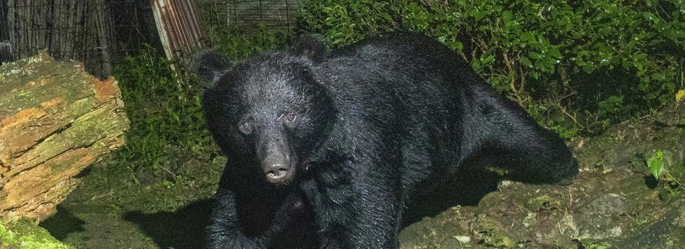 里へ＞(20)番外編 まさかミナグロ? 伝承を耳にしてから10年