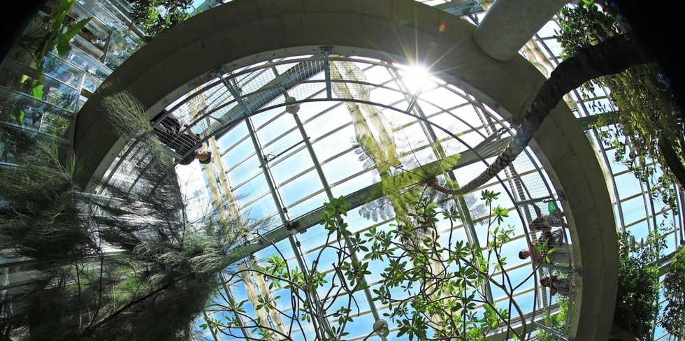 温室のグラスハウスにある円形の回廊。来場者が歩きながらさまざまな植物を観賞できる＝加古川市上荘町見土呂、みとろの丘