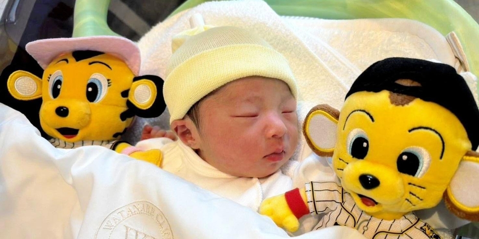 震災で亡くなった父も汀さんもプロ野球阪神タイガースの大ファン。マスコットに囲まれ眠る桧凪ちゃん（小島汀さん提供）