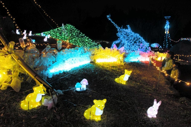 昨年の有馬富士公園のイルミネーション