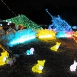 昨年の有馬富士公園のイルミネーション