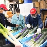 目ならし会でネギの規格を確認する生産者ら＝パスカルさんだ一番館