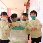 キャップを回収箱に入れる園児＝やよい幼稚園