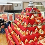 タワーびな。あかしあ台小２年の児童（８）は「こんなにたくさん見たのは初めて」＝三田市屋敷町