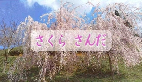 三田市が作成したＤＶＤの映像（提供）