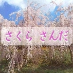 三田市が作成したＤＶＤの映像（提供）