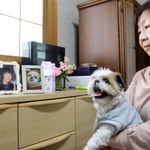 事故後に飼った愛犬「めい」と一緒に写真を見ながら宏一さんと夢との思い出を語る小前恵さん＝三田市