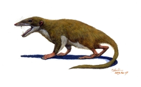 丹波篠山市出身の河合さんにちなんで命名された「ササヤマミロス・カワイイ」