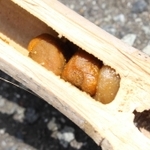 竹の節にたまった花粉の団子＝三田市けやき台４