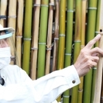 秋永さんが見つけた竹の穴＝三田市けやき台４
